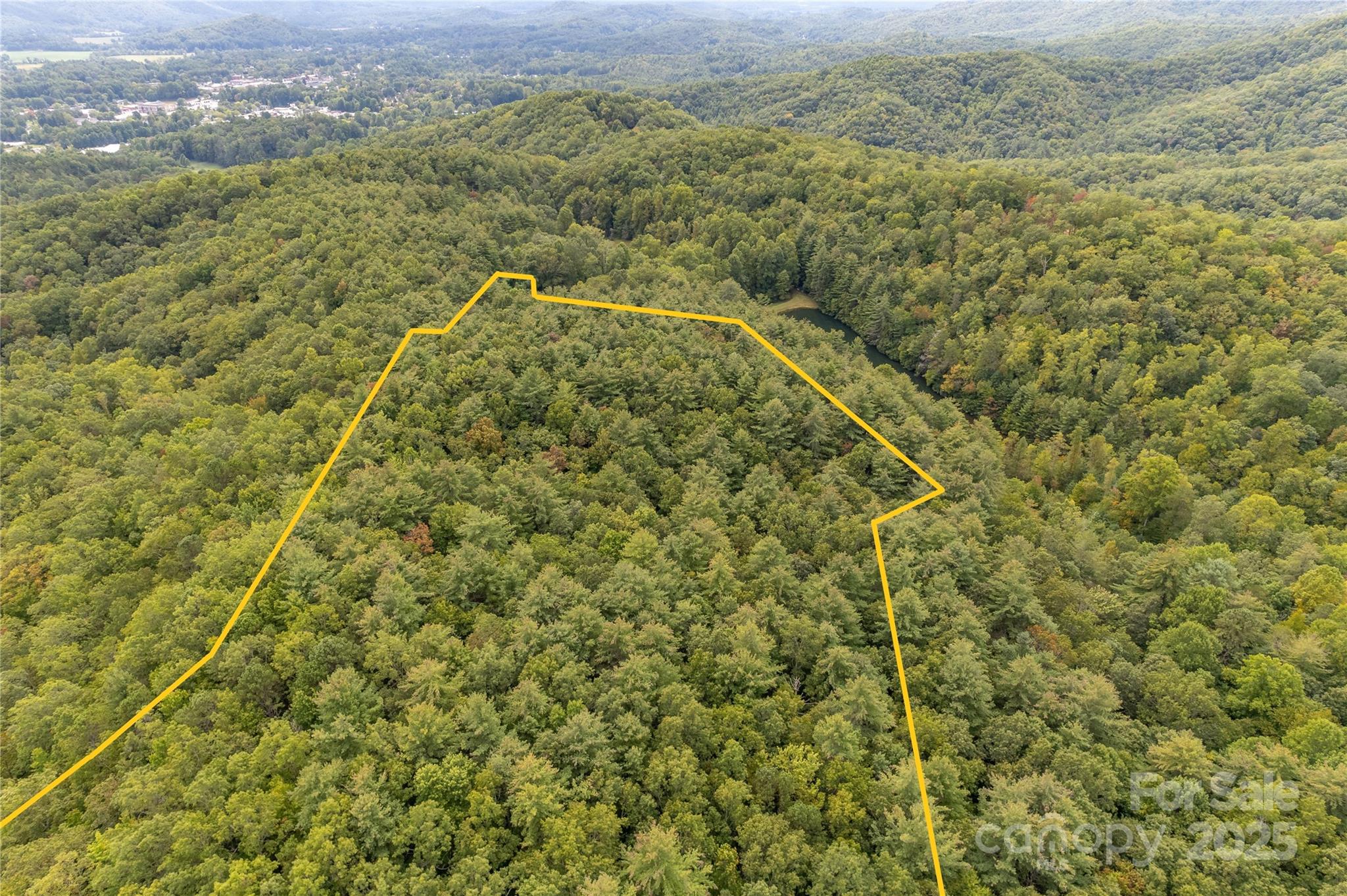 2 Long Ridge Road Brevard, NC 28712 - Photo 11 of 26