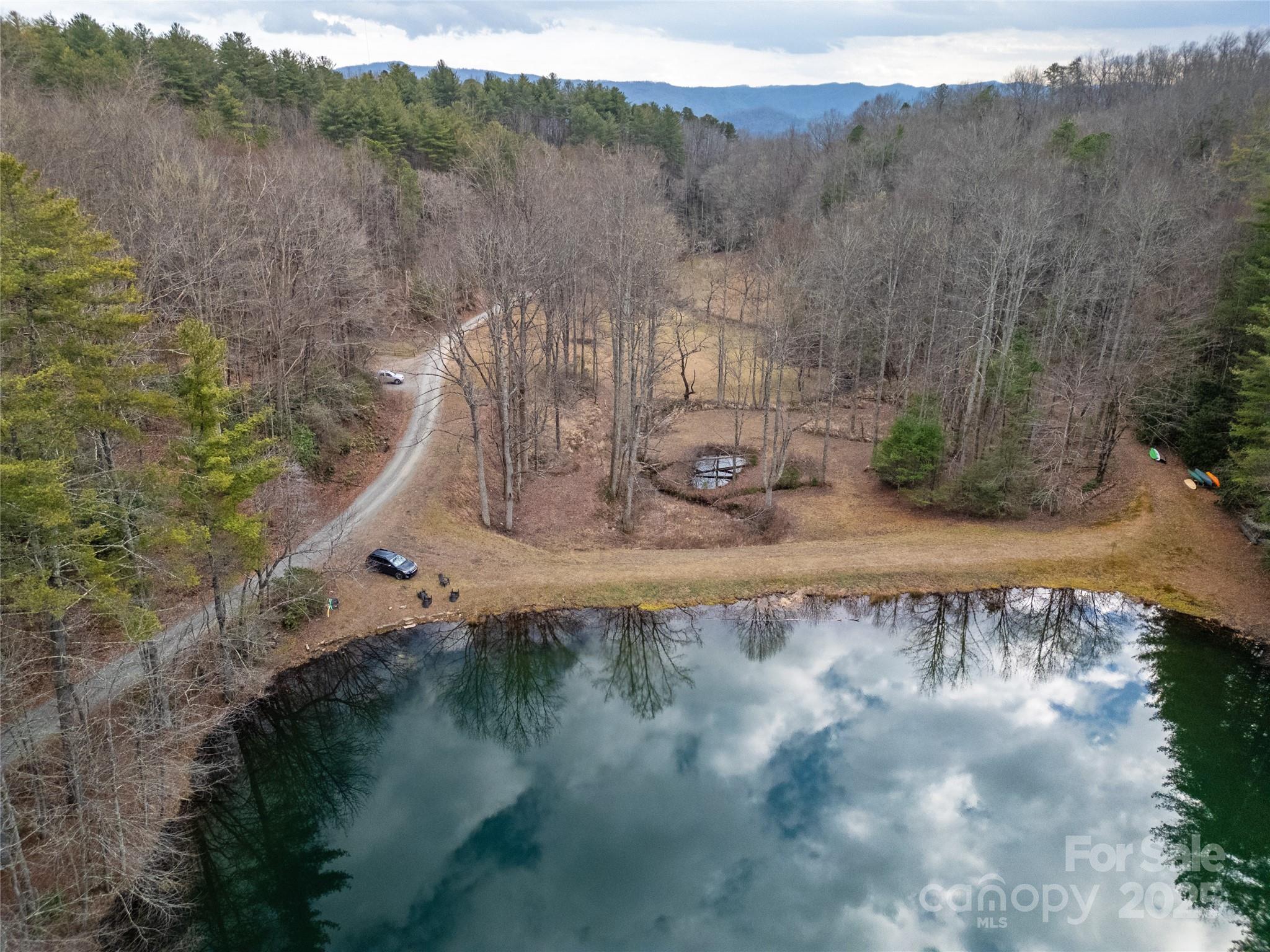 2 Long Ridge Road Brevard, NC 28712 - Photo 13 of 26
