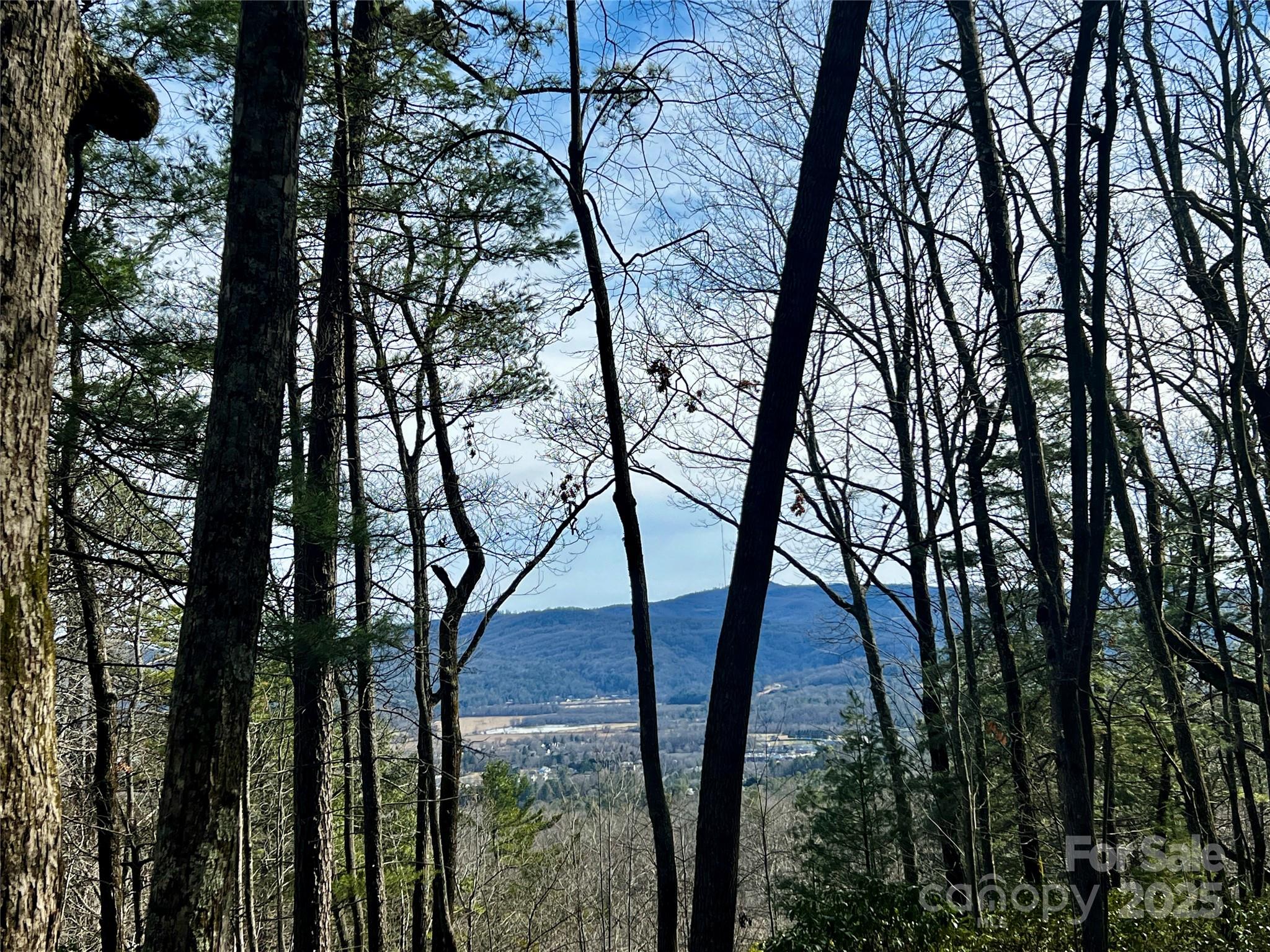 2 Long Ridge Road Brevard, NC 28712 - Photo 14 of 26