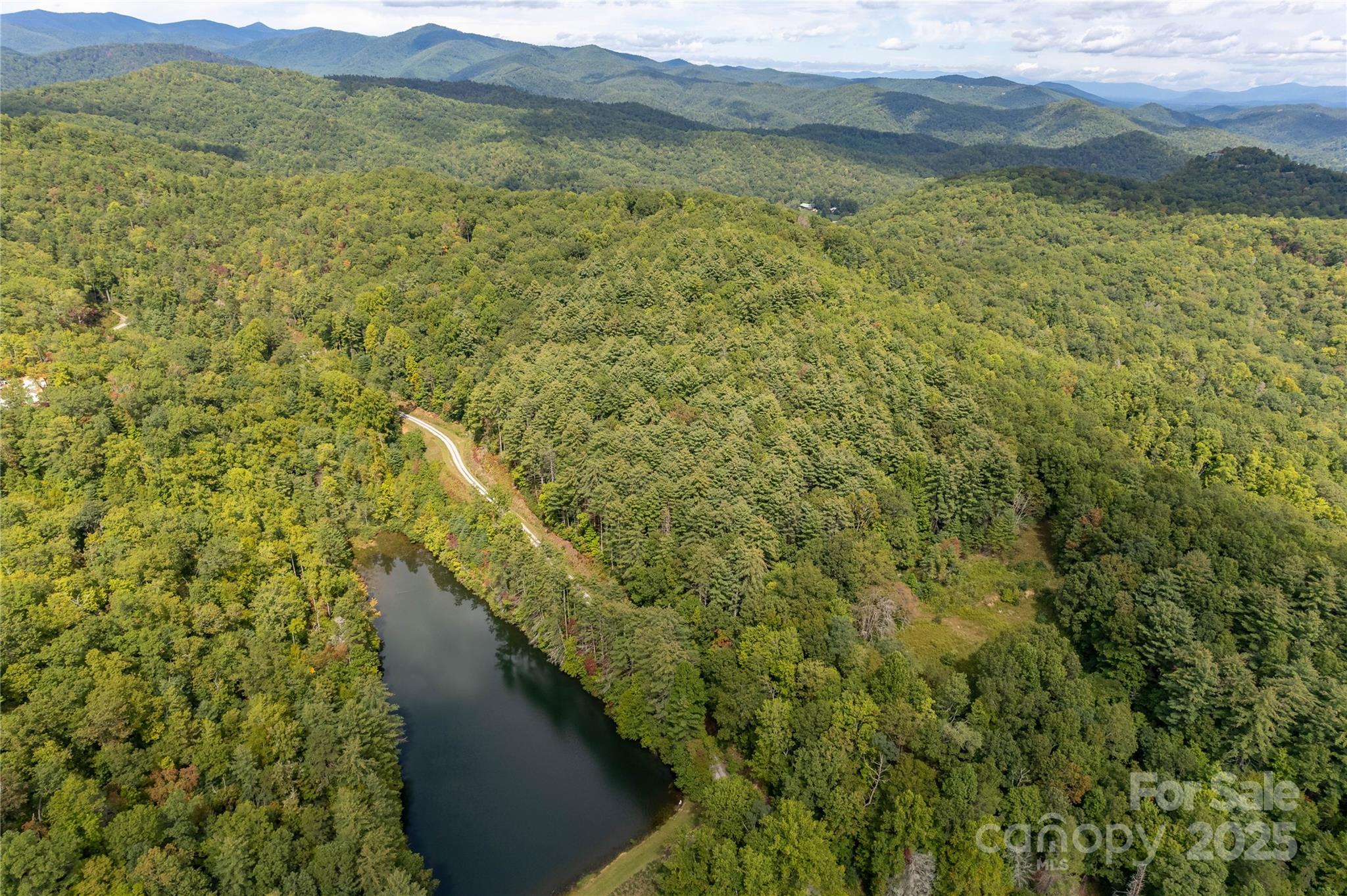 2 Long Ridge Road Brevard, NC 28712 - Photo 15 of 26