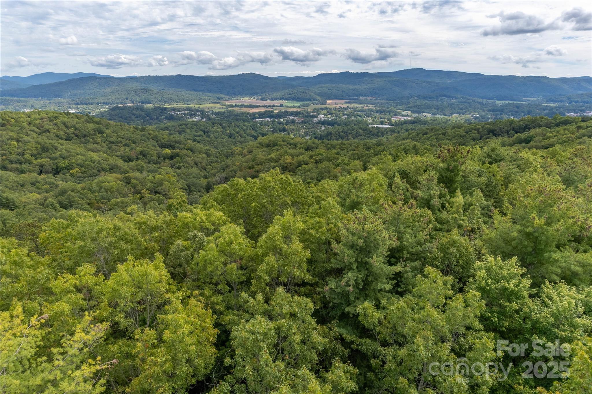 2 Long Ridge Road Brevard, NC 28712 - Photo 17 of 26