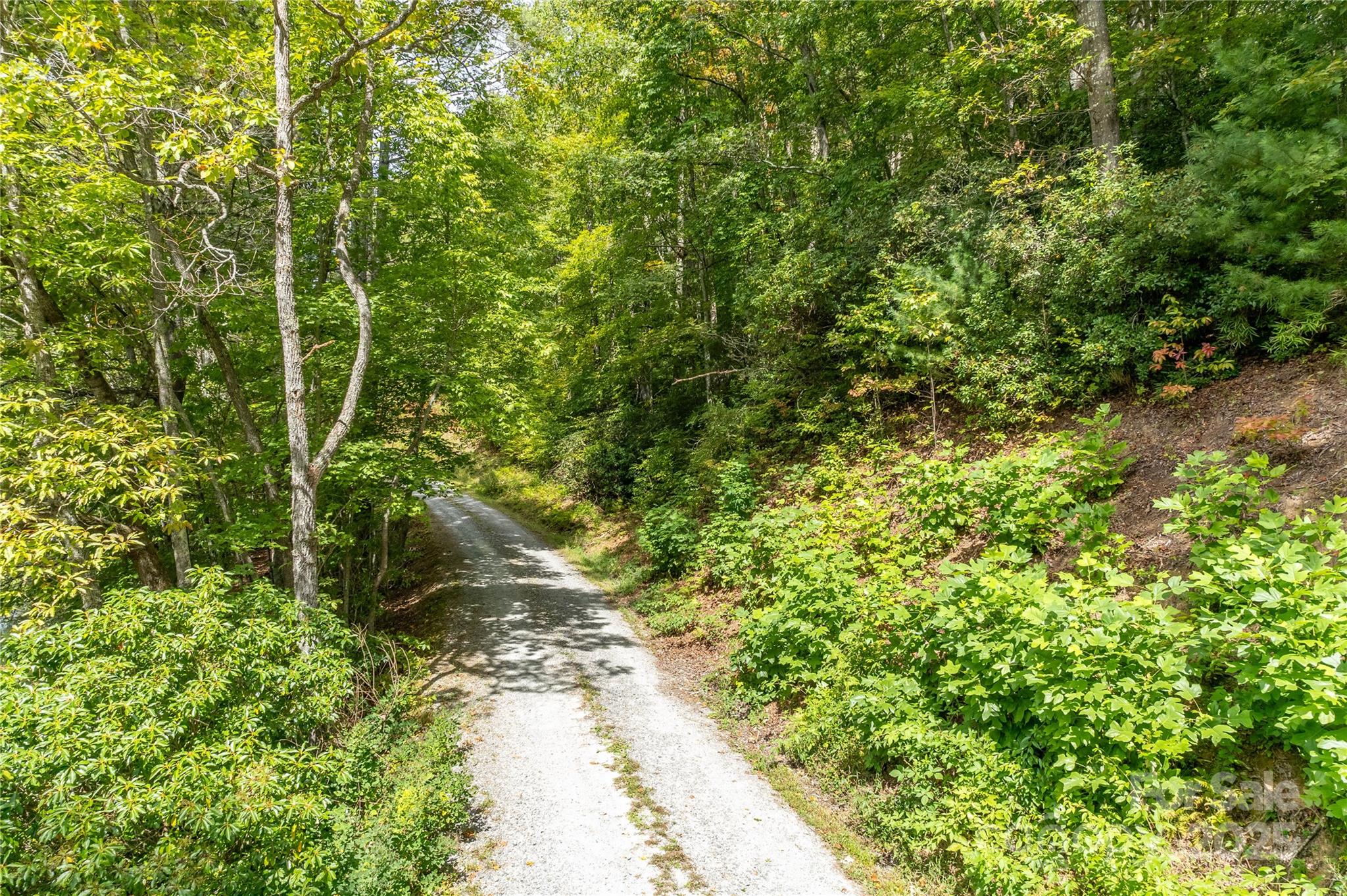 2 Long Ridge Road Brevard, NC 28712 - Photo 19 of 26