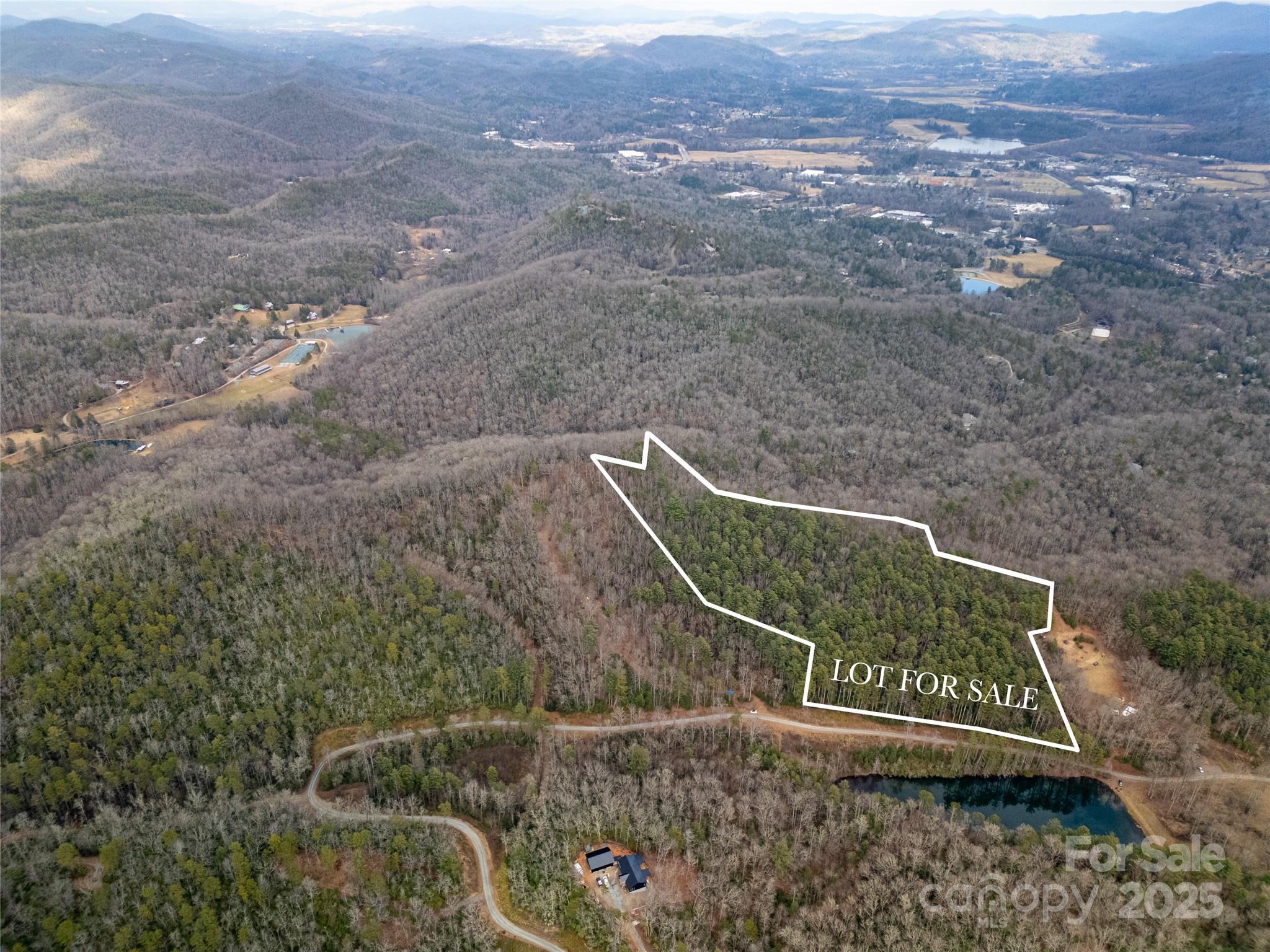 2 Long Ridge Road Brevard, NC 28712 - Photo 20 of 26