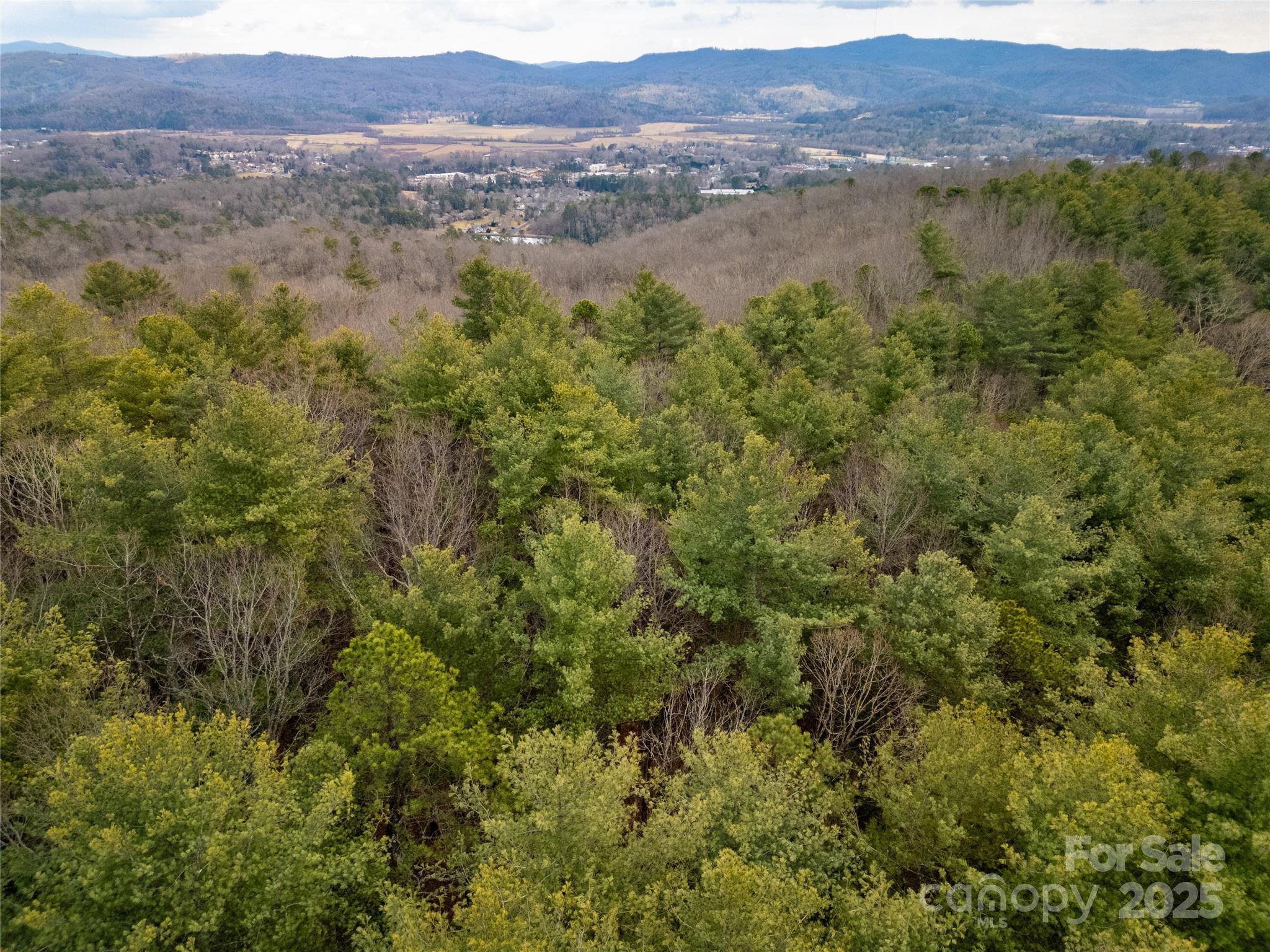2 Long Ridge Road Brevard, NC 28712 - Photo 2 of 26