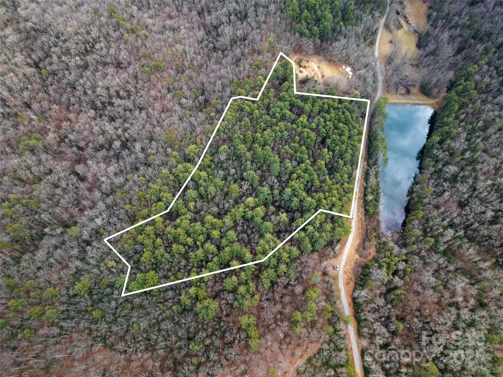 2 Long Ridge Road Brevard, NC 28712 - Photo 21 of 26