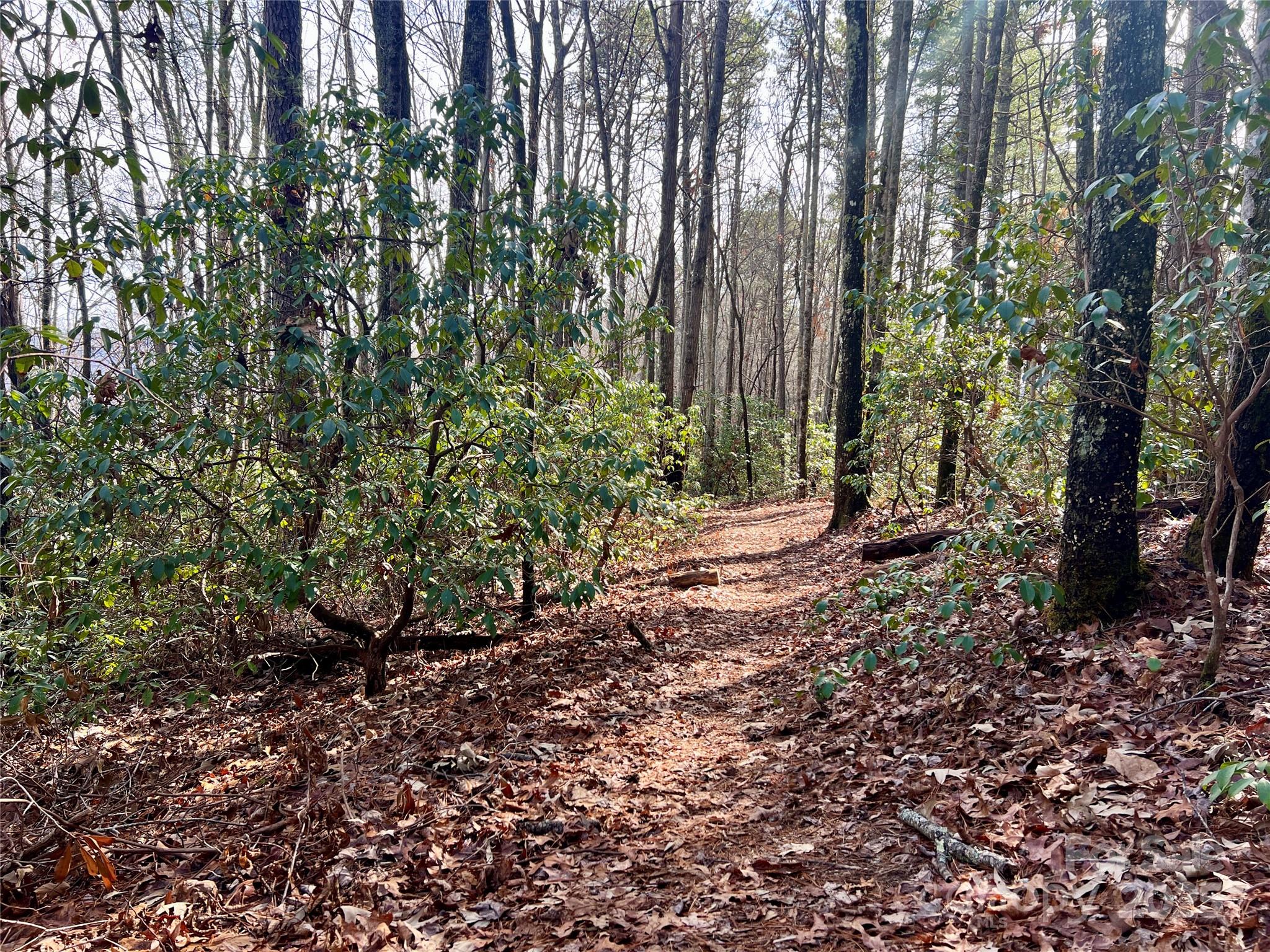 2 Long Ridge Road Brevard, NC 28712 - Photo 25 of 26