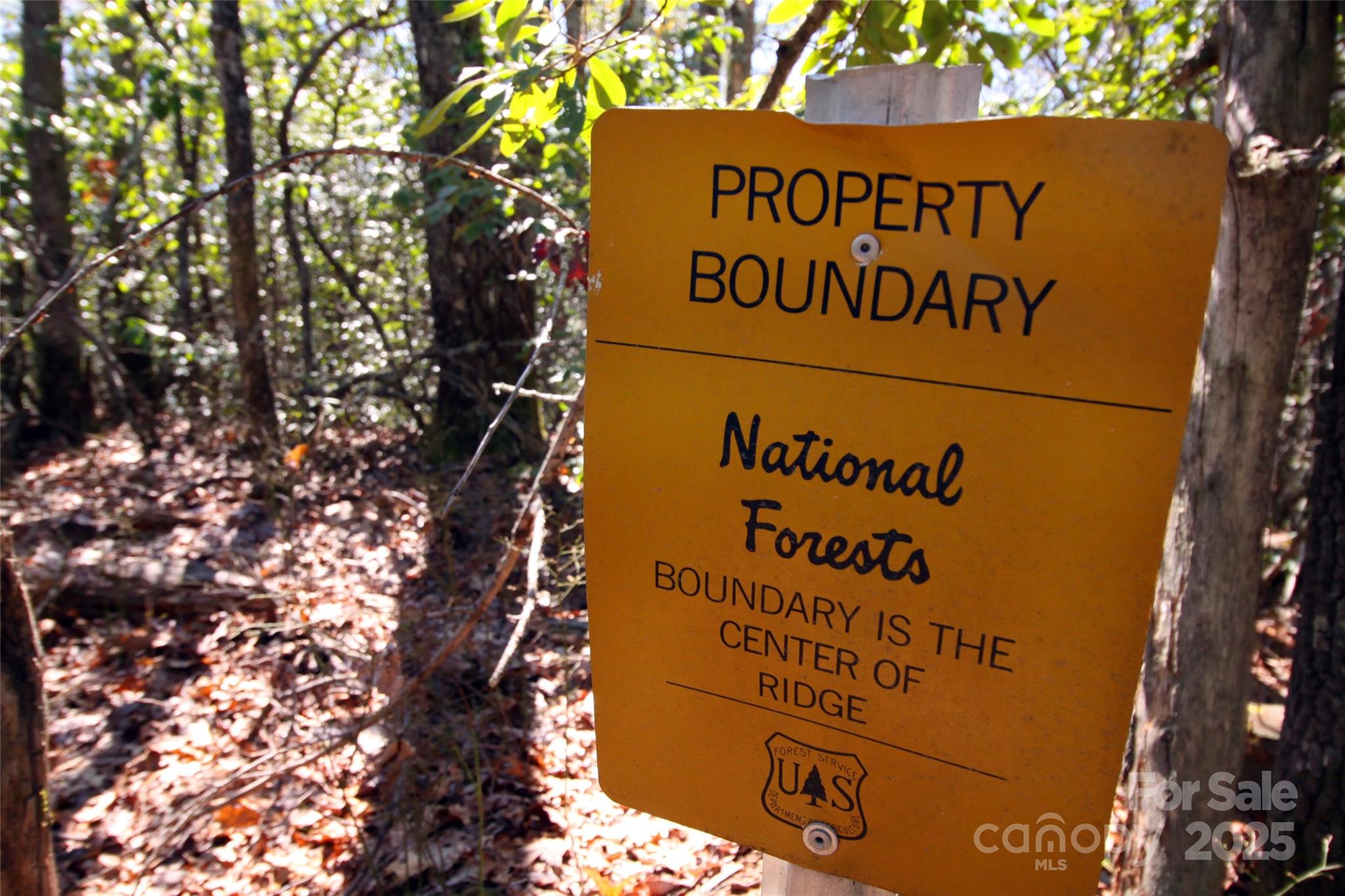 2 Long Ridge Road Brevard, NC 28712 - Photo 26 of 26