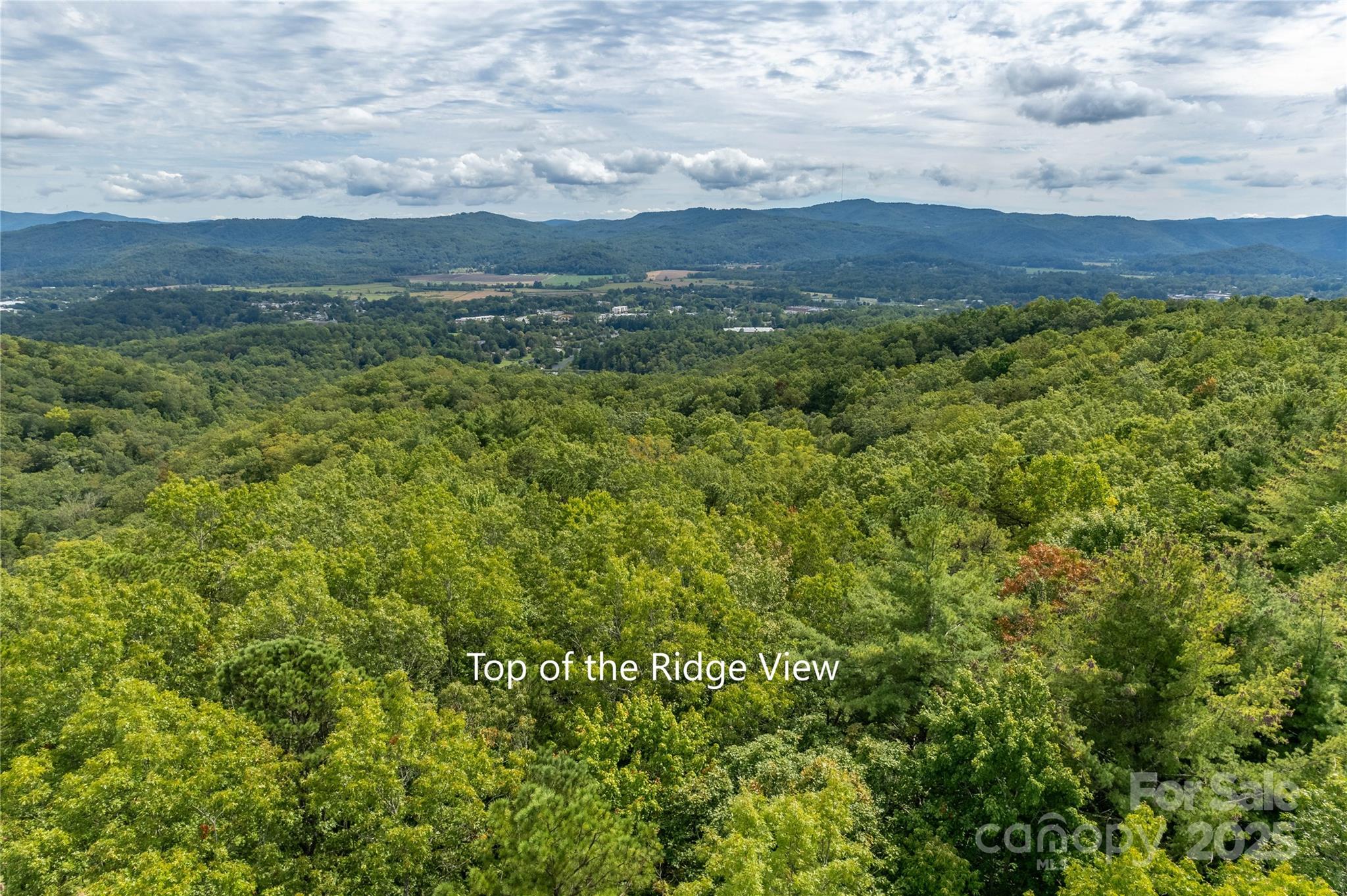2 Long Ridge Road Brevard, NC 28712 - Photo 3 of 26
