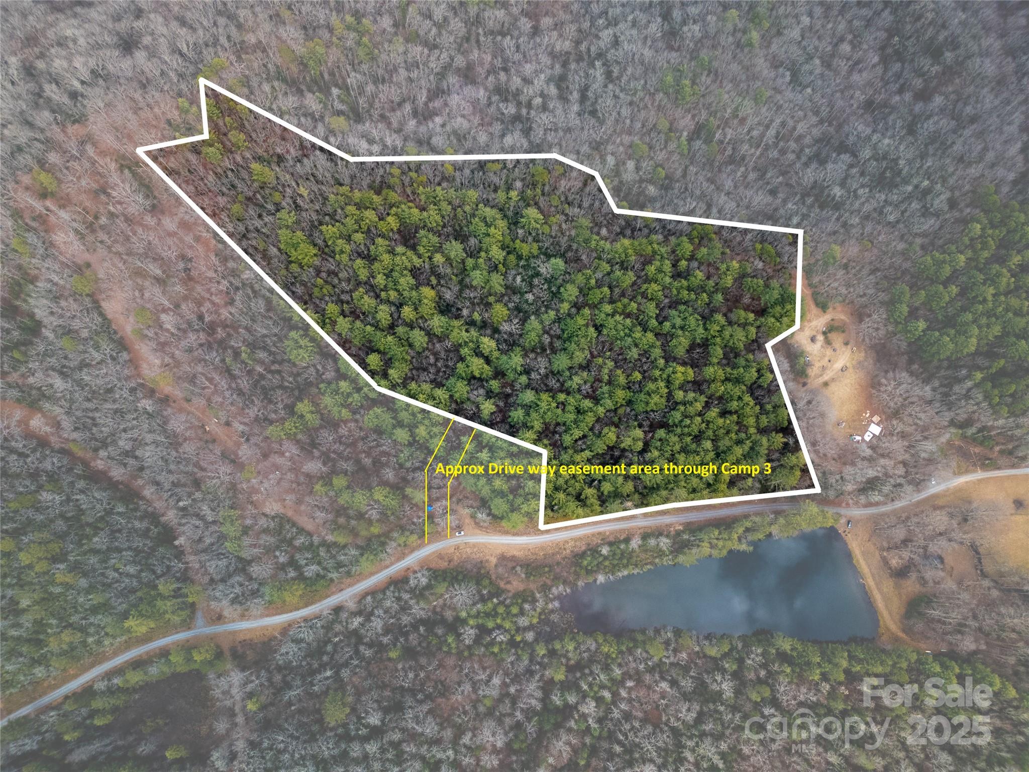2 Long Ridge Road Brevard, NC 28712 - Photo 6 of 26