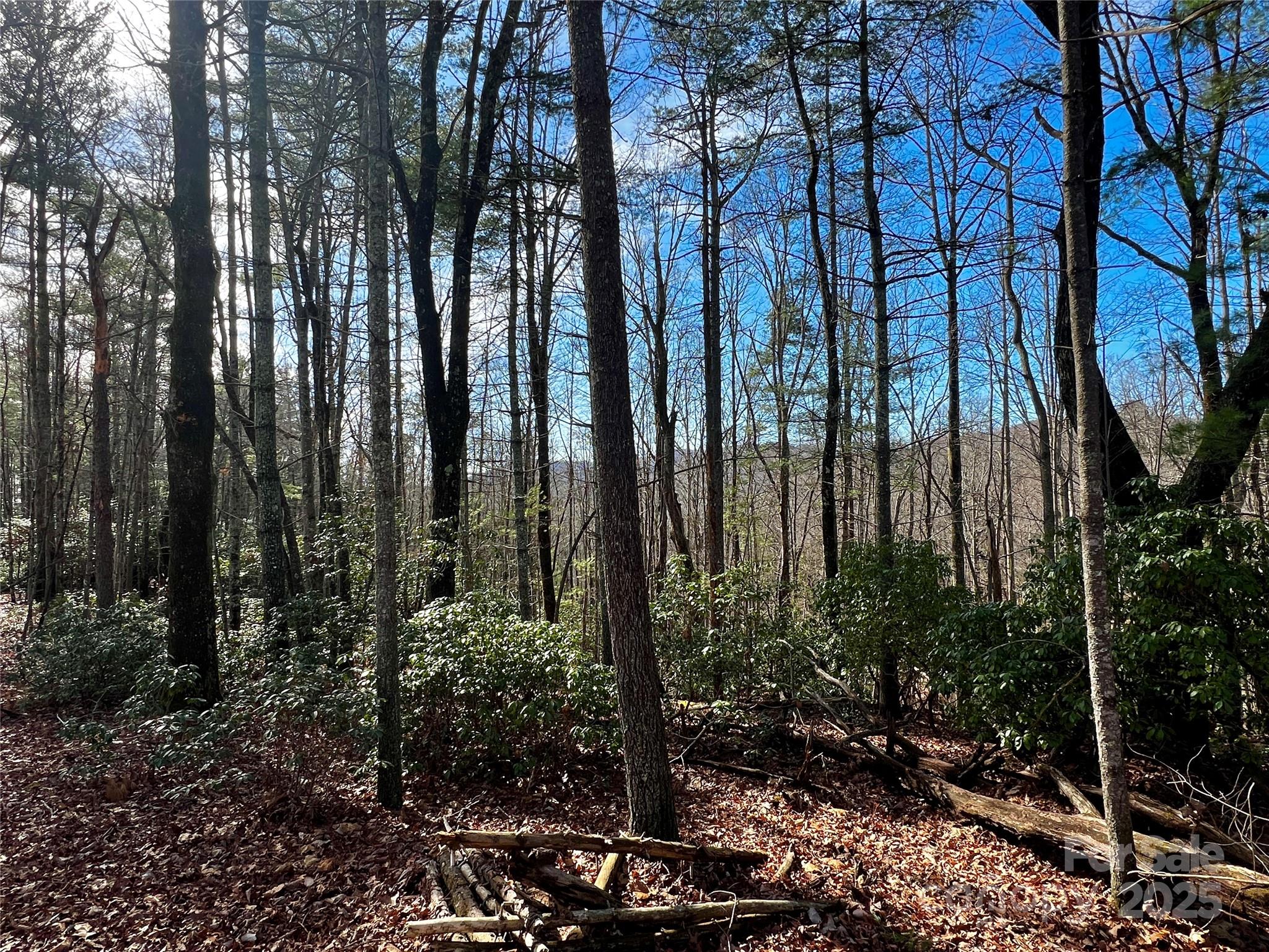 2 Long Ridge Road Brevard, NC 28712 - Photo 7 of 26