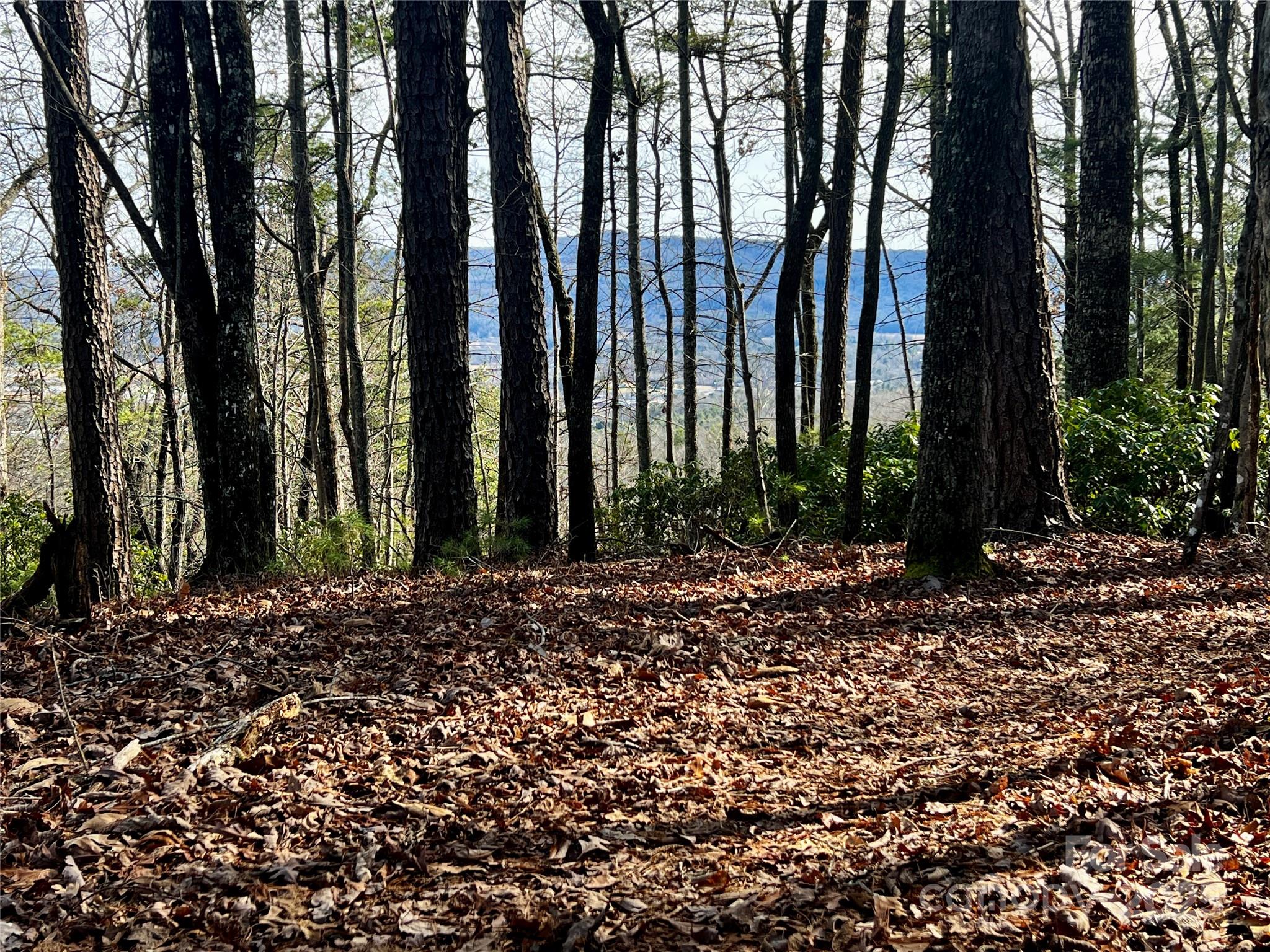 2 Long Ridge Road Brevard, NC 28712 - Photo 8 of 26