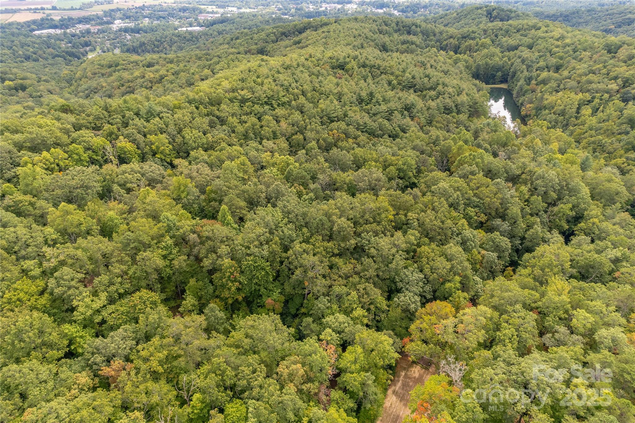 2 Long Ridge Road Brevard, NC 28712 - Photo 9 of 26
