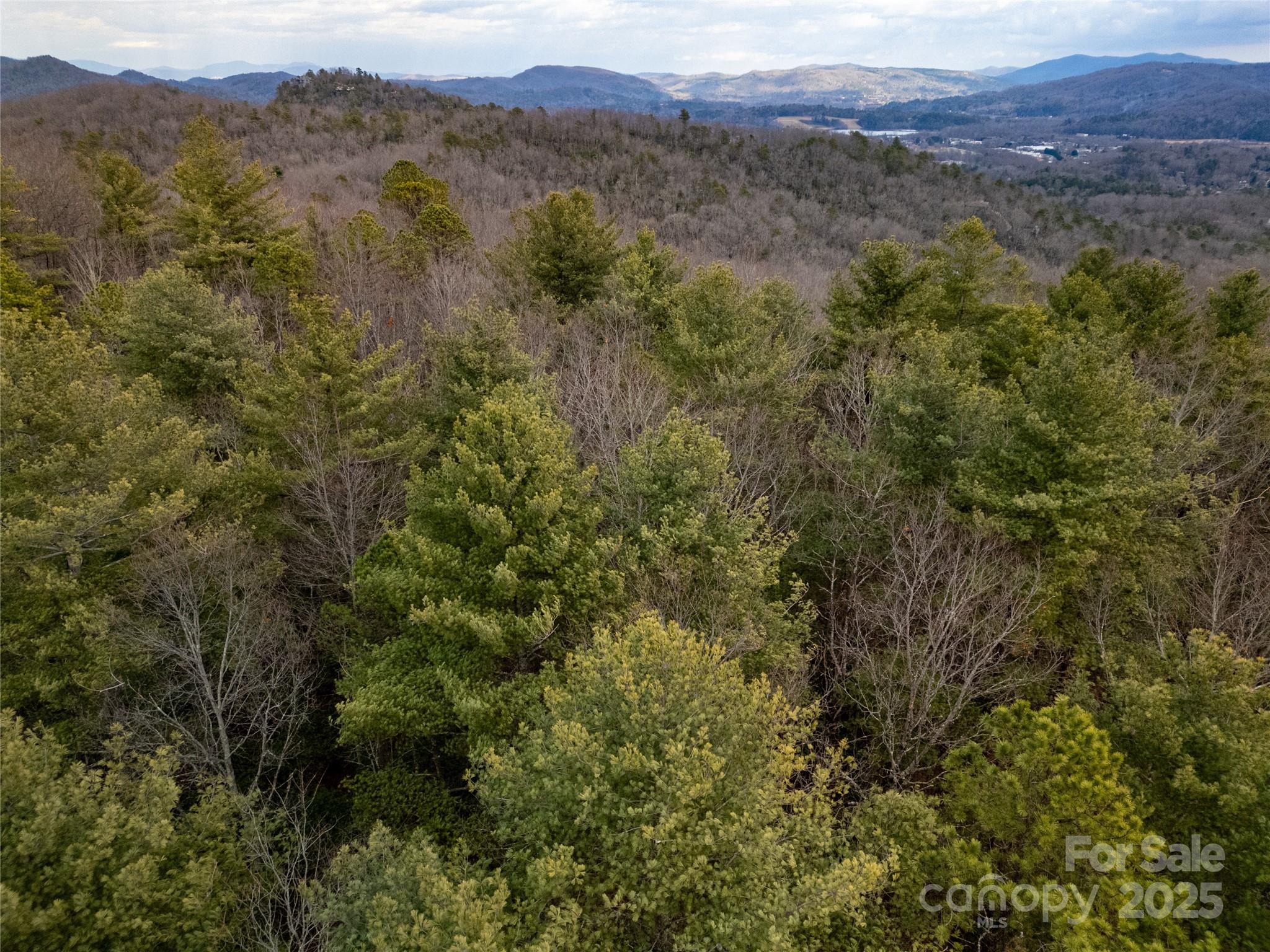 2 Long Ridge Road Brevard, NC 28712 - Photo 10 of 26