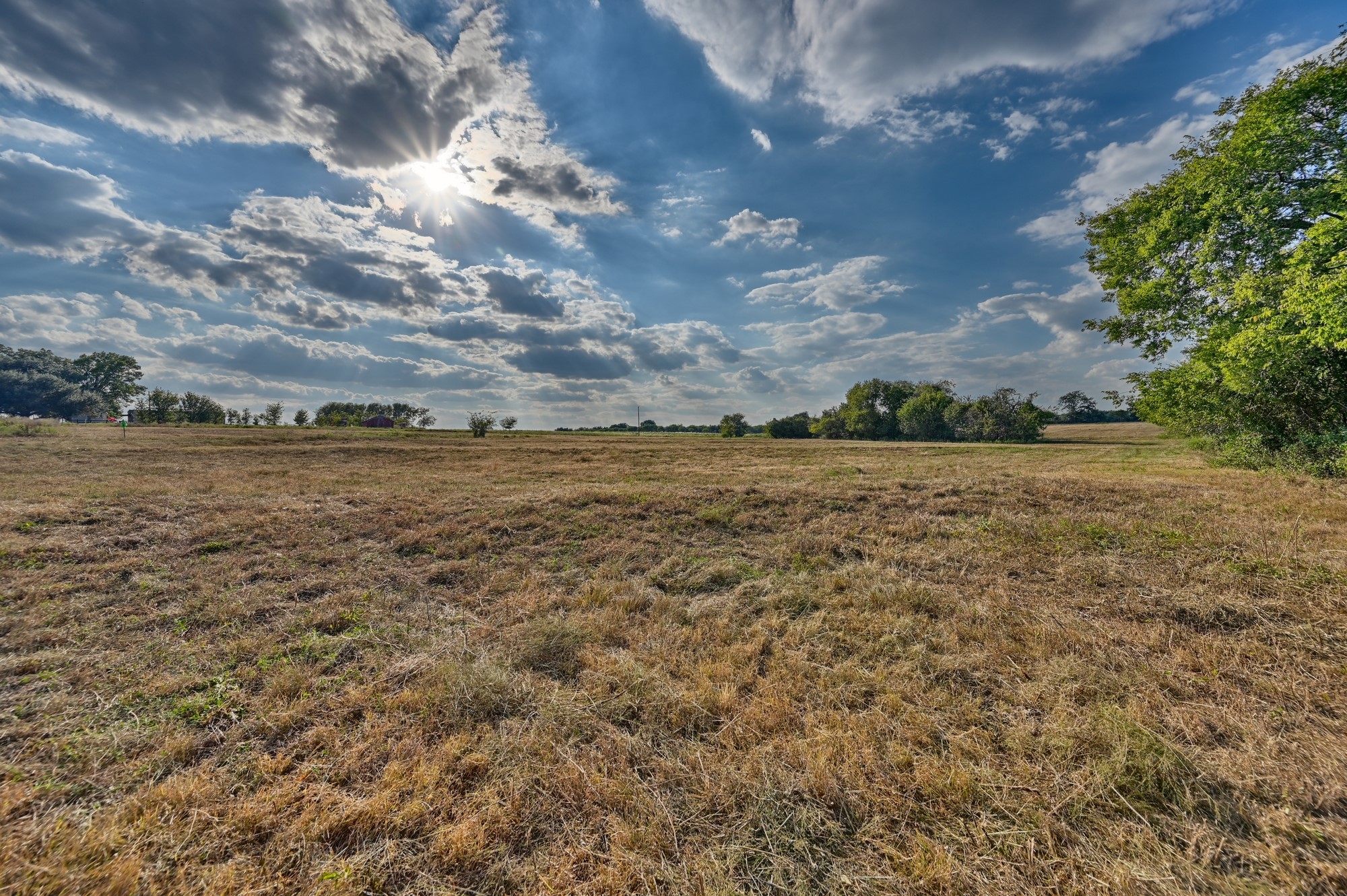 86-acres Ganske Road Burton, TX 77835 - Photo 16 of 24 a view of a field with an ocean