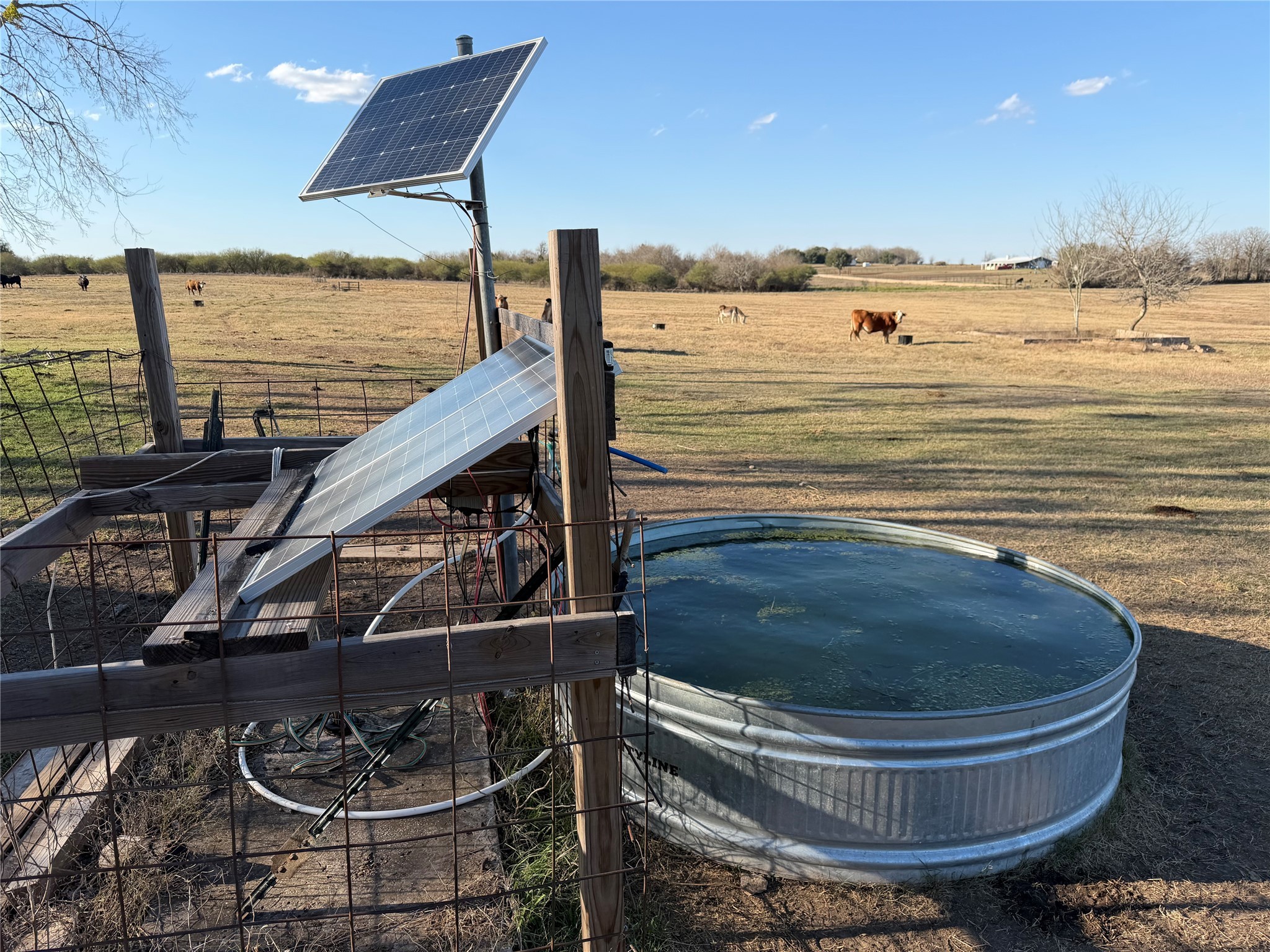 86-acres Ganske Road Burton, TX 77835 - Photo 24 of 24
