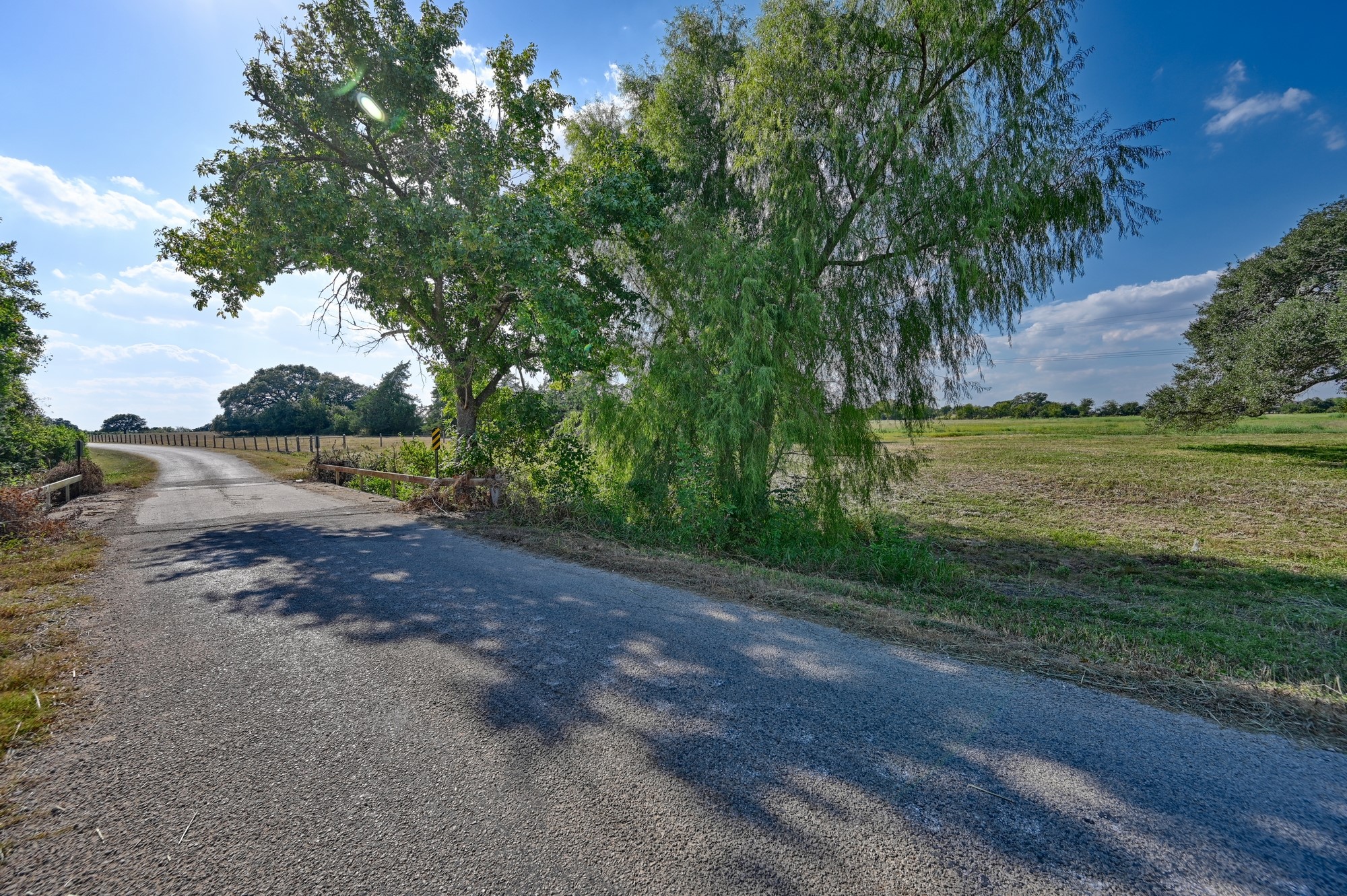 86-acres Ganske Road Burton, TX 77835 - Photo 8 of 24 a view of a yard with large trees