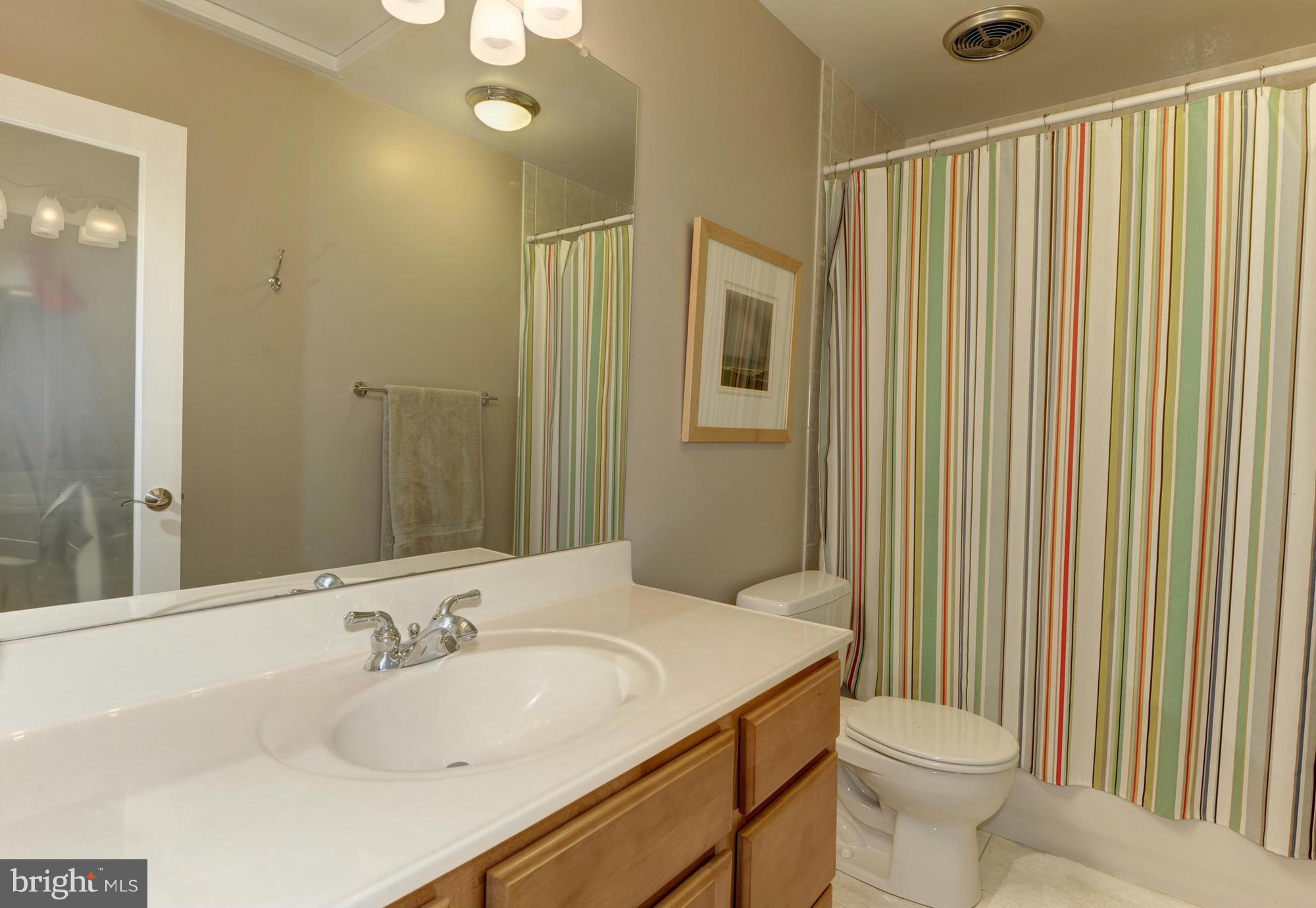 11710 Indian Ridge Road Reston, VA 20191 - Photo 21 of 30 Bath (Master)