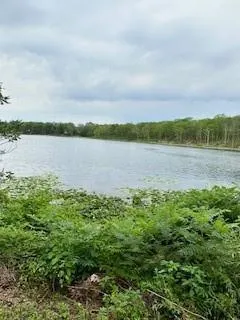 a view of a lake and mountain