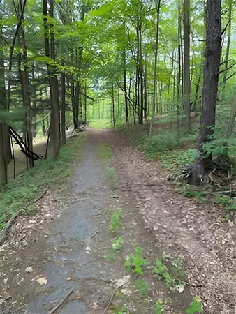 a view of outdoor space with trees