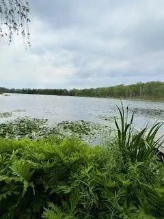 a view of a lake with a lake