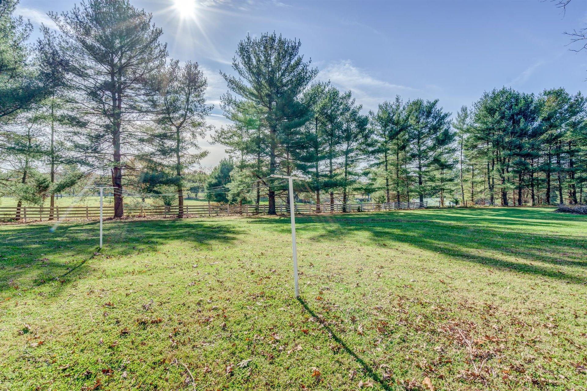 2725 Morgans Mill Road Goodview, VA 24095 - Photo 40 of 49 a view of a park with tree s