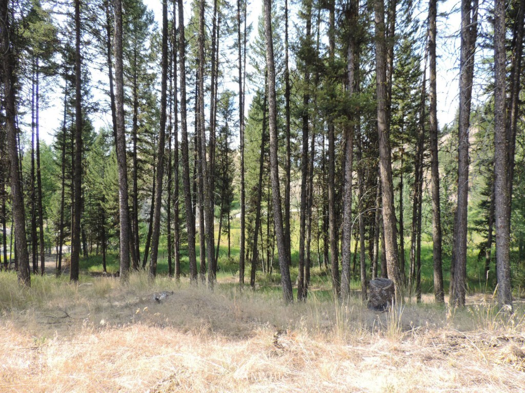 40 Pine Chee Road Oroville, WA 98844 - Photo 17 of 18