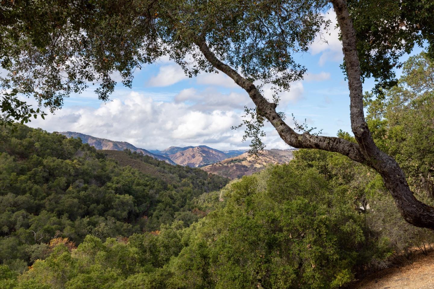 21446 Laurel Spring Road Carmel Valley, CA 93924 - Photo 15 of 34 Gallery Image 15