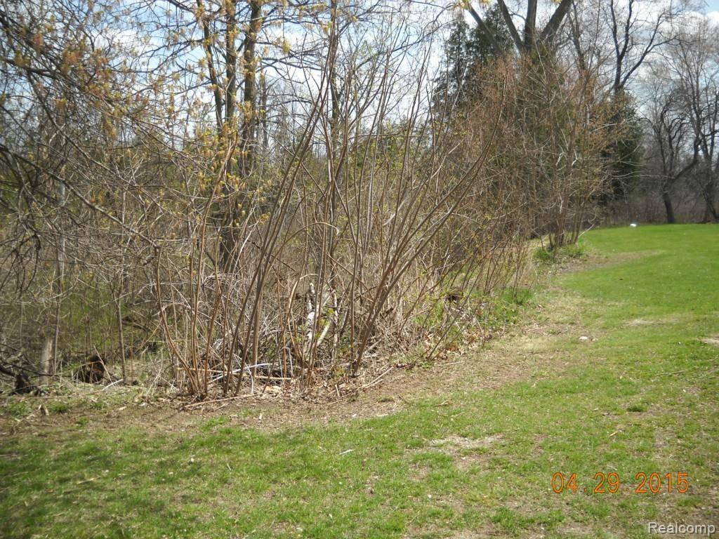 79464 Kidder Road Romeo, MI 48065 - Photo 13 of 33 DSCN5014.jpg