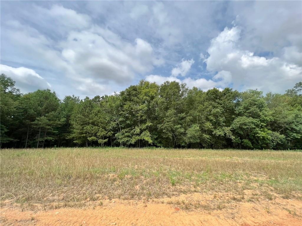 130 Daniel Ridge Southwest Cartersville, GA 30120 - Photo 3 of 4