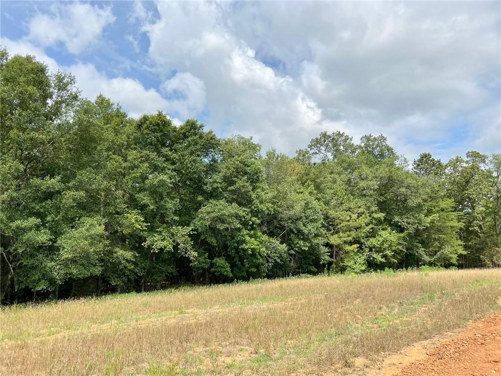 130 Daniel Ridge Southwest Cartersville, GA 30120 - Photo 4 of 4