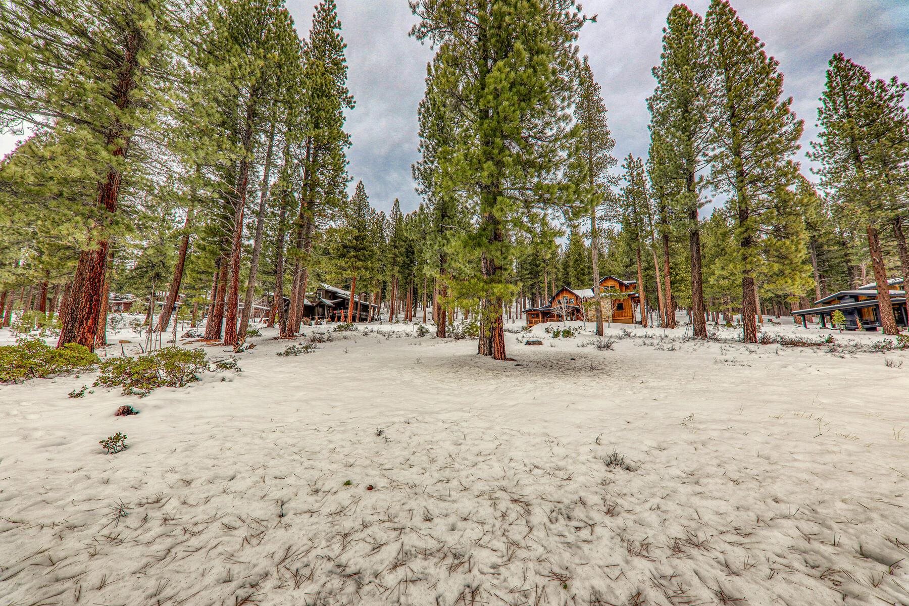 11420 Ghirard Road Truckee, CA 96161 - Photo 8 of 11