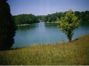 % Crussell Road Piney Flats, TN 37686 - Photo 1 of 1 Photo 1