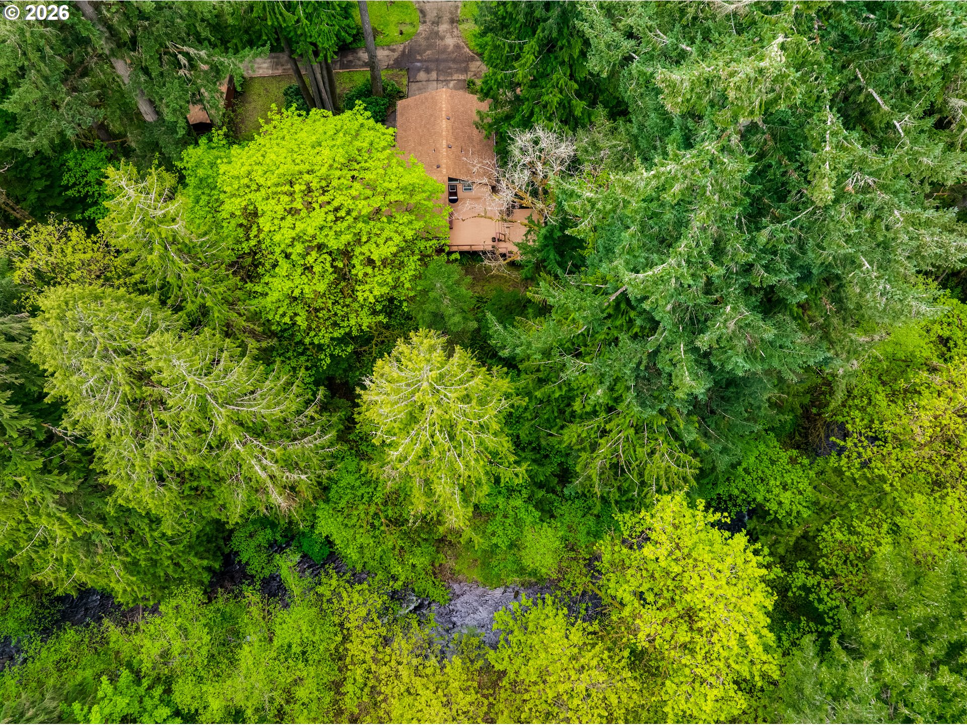 37035 Parsons Creek Road Springfield, OR 97478 - Photo 40 of 42