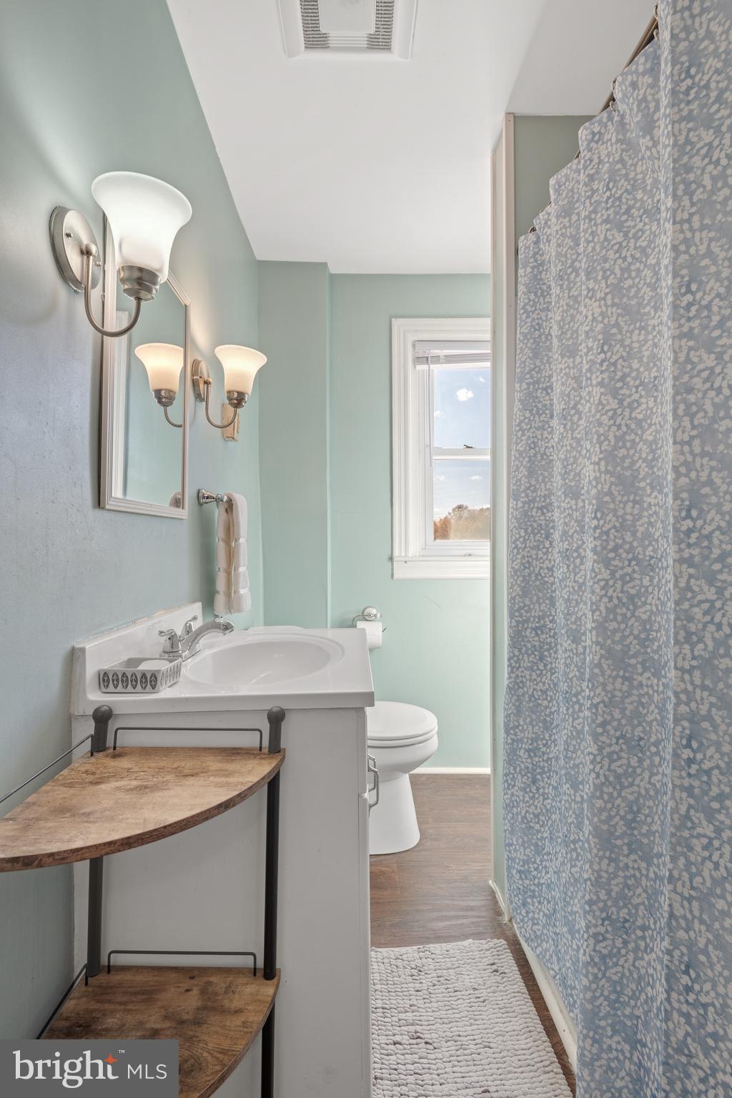 156 Front Street Lititz, PA 17543 - Photo 38 of 58 a bathroom with a sink a toilet and a mirror