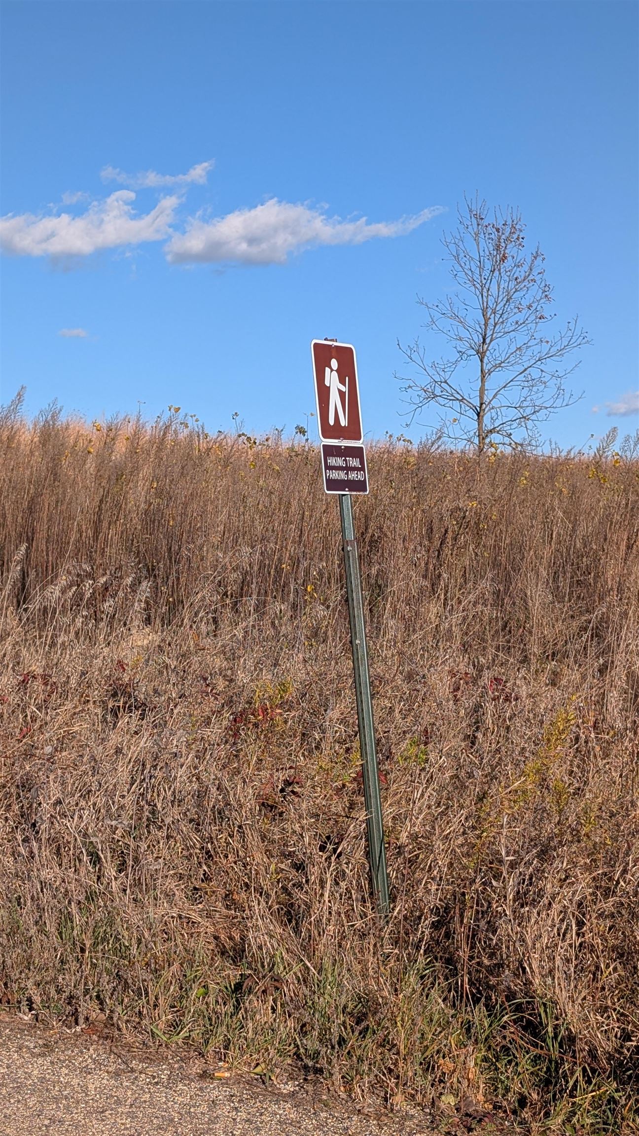 L16 Oak Markesan, WI 53946 - Photo 14 of 14