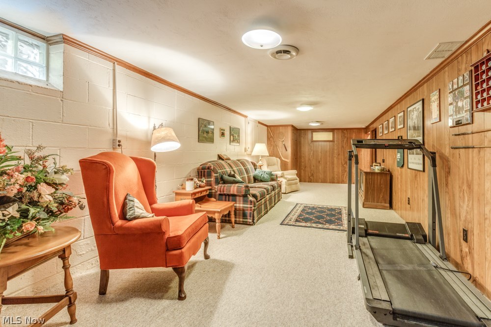 10133 Wisner Road Chardon, OH 44024 - Photo 17 of 25 Gallery Image 17