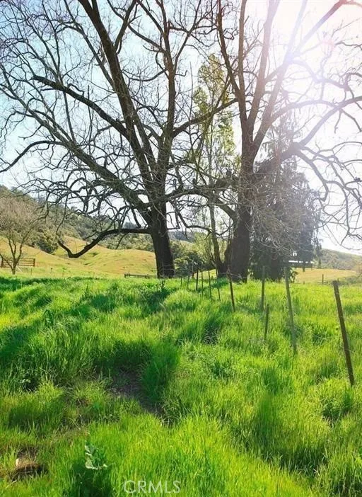 0 Old Creek Road Cayucos, CA 93430 - Photo 18 of 19