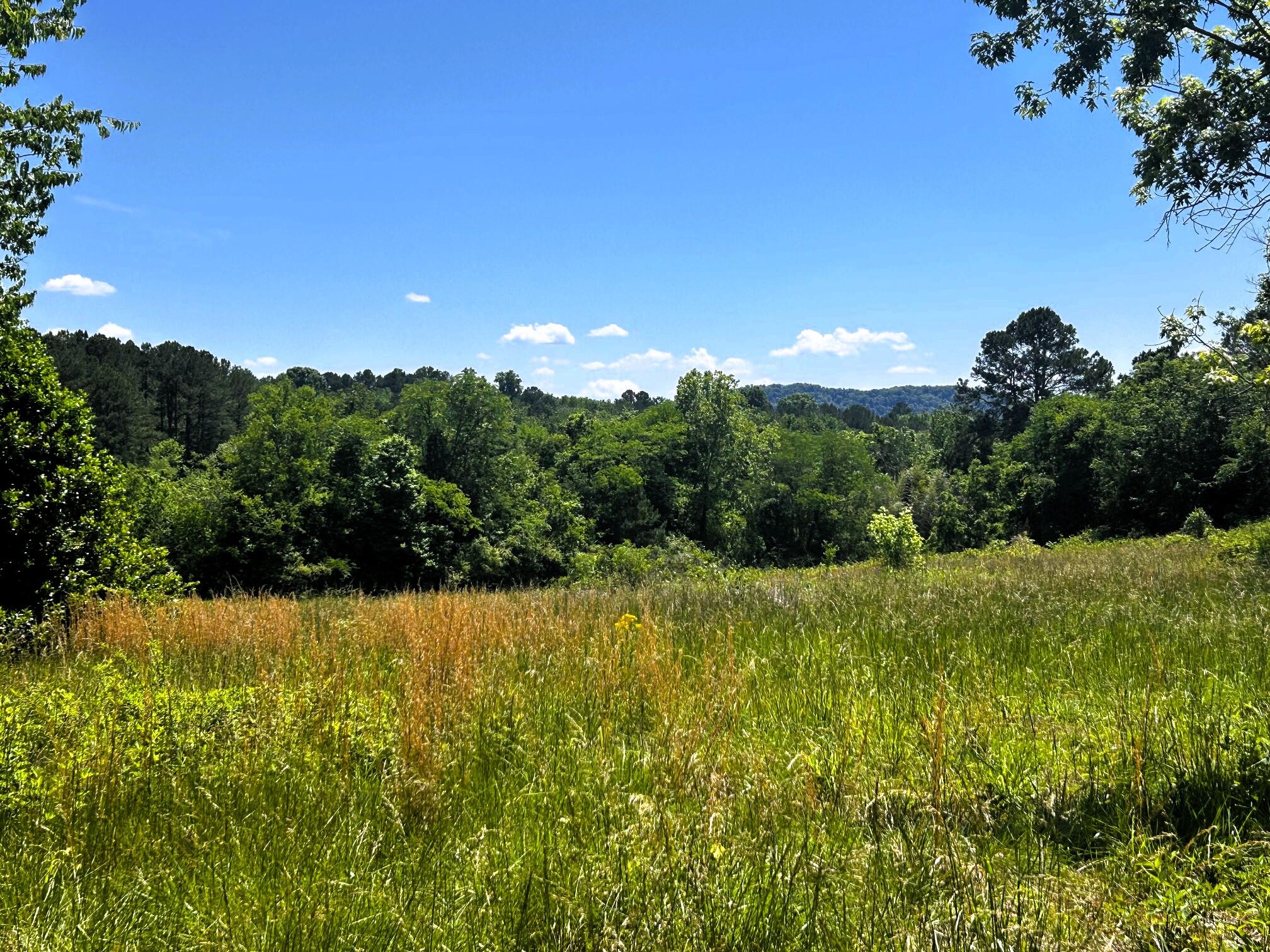 573 South Judd Road Decatur, TN 37322 - Photo 3 of 37 Judd lane views - Copy (2)