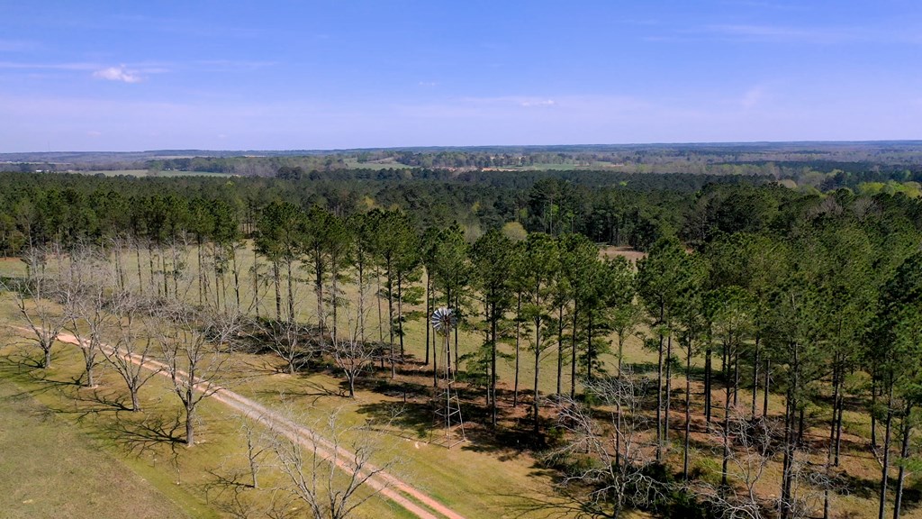 369 Bud Gary Road Clayton, AL 36016 - Photo 33 of 42