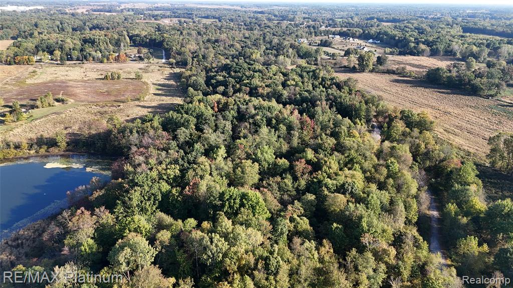 0 Chapman Road Stockbridge, MI 49285 - Photo 20 of 20