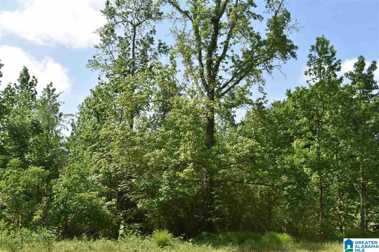 Lot 41 County Road 264, Unit RIVER BREEZE ESTATES Wedowee, AL 36278 - Photo 6 of 16