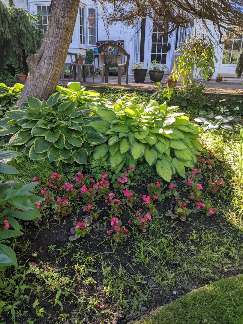 200 Hazel Avenue Glencoe, IL 60022 - Photo 38 of 51 a bunch of flowers outside a house