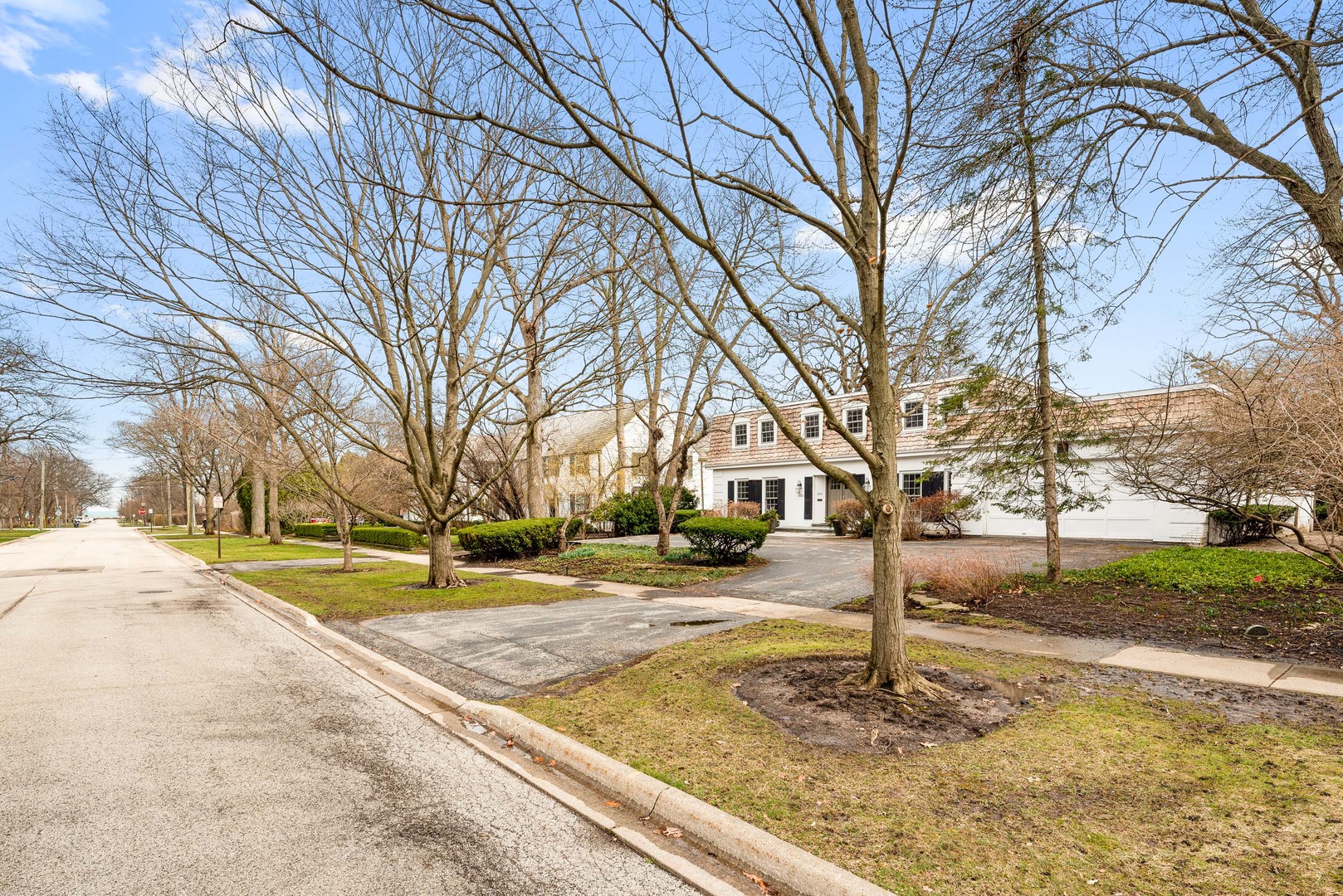 200 Hazel Avenue Glencoe, IL 60022 - Photo 41 of 51 a tall tree in middle of a yard