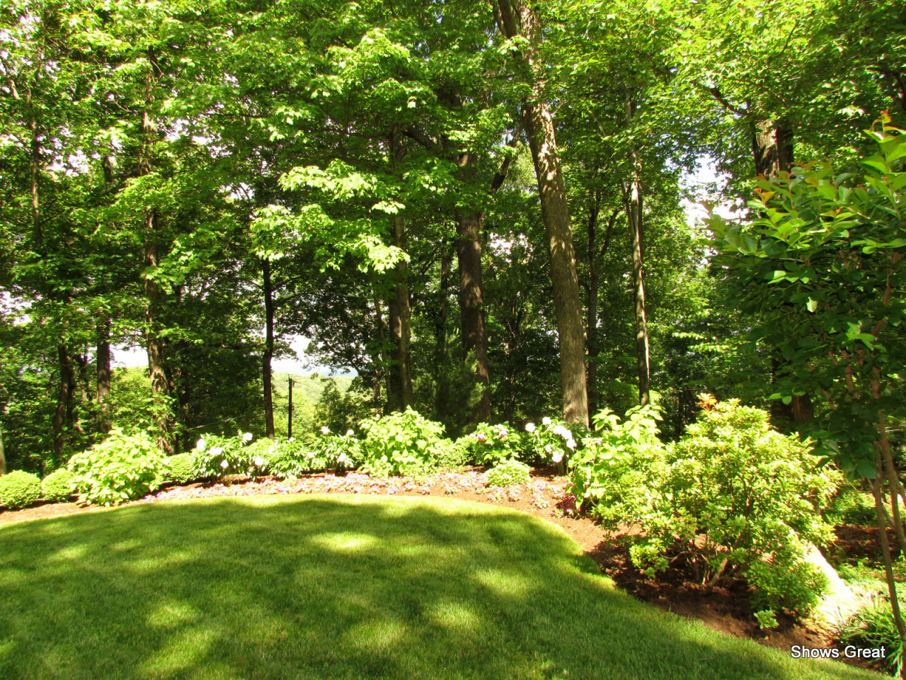 3482 West Ridge Road Southwest Roanoke, VA 24014 - Photo 40 of 45 Beautiful Landscaping
