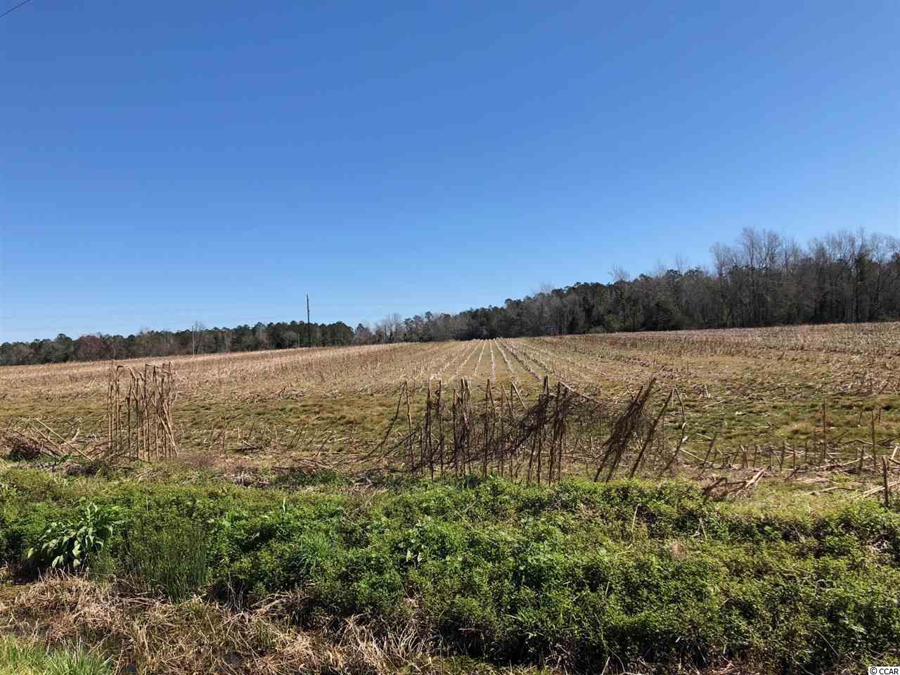 0 Hufford Road Loris, SC 29569 - Photo 3 of 4 Gallery Image 3