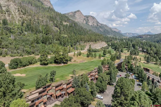 a view of a city with lush green forest