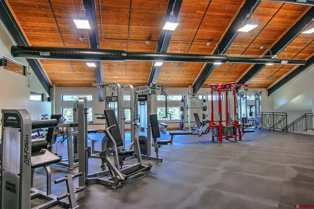 a view of a park with plants