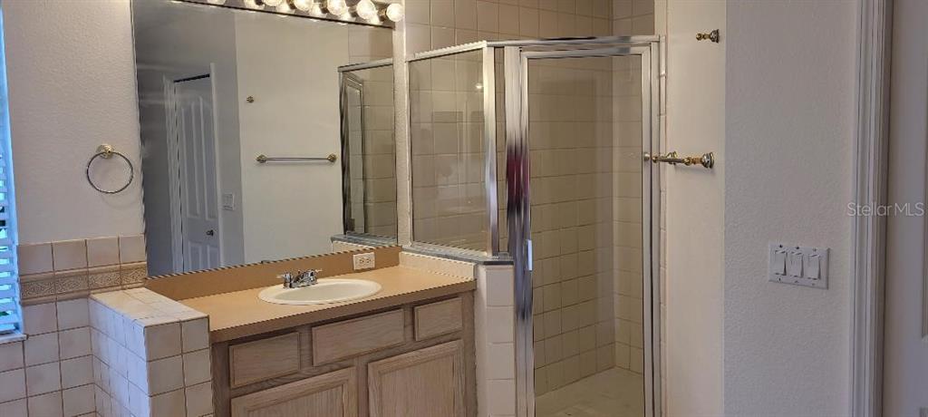 4802 Tea Rose Court Lutz, FL 33558 - Photo 11 of 16