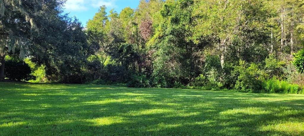 4802 Tea Rose Court Lutz, FL 33558 - Photo 15 of 16