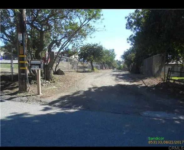 a view of dirt yard with a large tree